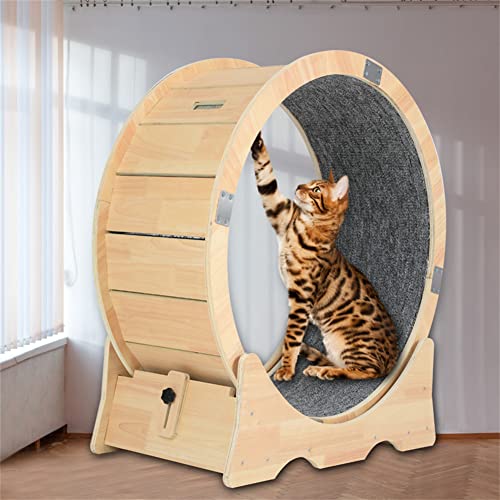 laddawan Cat Exercise Wheel Indoor Treadmill Small Animals Exercise Wheels ，cat Runway, Fitness Weight Loss Device，Cat Running Wheel ，Pet Toy ，Large-Sized cat Wheel (L) von laddawan
