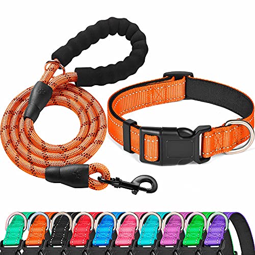 Ladoogo Reflektierendes Hundehalsband, gepolstert mit weichem Neopren, atmungsaktiv, verstellbar, Nylon, für kleine, mittelgroße und große Hunde (Halsband + Leine, L Hals 48,3 cm - 59,7 cm, Orange) von ladoogo