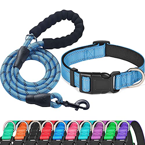 Ladoogo Reflektierendes Hundehalsband, gepolstert mit weichem Neopren, atmungsaktiv, verstellbar, Nylon, für kleine, mittelgroße und große Hunde (Halsband + Leine,30.5 cm, leuchtendes Blau) von ladoogo