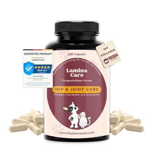 lamina care - Gelenktabletten Hund zur Stärkung der Gelenke, der Hüften und zur Verbesserung der Beweglichkeit, mit Grünlippmuschel Hund Pulver, Natürliche Schmerzmittel für Hunde mit Glucosamin Hund von lamina care