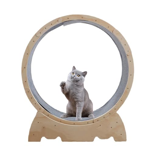 Katzen-Laufrad, Katzenräder für Indoor-Katzen, Laufband mit Verriegelungsmechanismus, Laufen für Indoor-Katzen, Fitness und Gesundheit, geeignet für die meisten Indoor-Katzen, Spielzeug, Katzenmöbel Katzen-Laufrad, Katzenräder für Indoor-Katzen, Laufband mit Verriegelungsmechanismus, Laufen für Indoor-Katzen, Fitness und Gesundheit, geeignet für die meisten Indoor-Katzen, Spielzeug, Katzenmöbel von lamphle