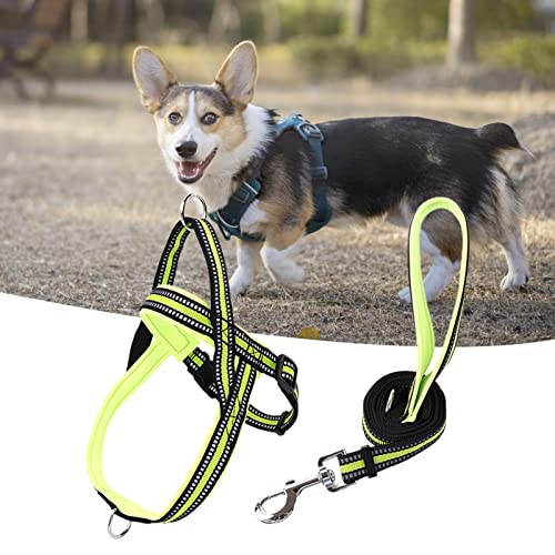 lamphle Haustier-Brustgurt, verstellbar, mittelgroß, Hundeleine, zum Spazierengehen, Laufen, Brustgurt, Hundetraining, reflektierende Leine für große Hunde für Park, L-fluoreszierendes Grün lamphle Haustier-Brustgurt, verstellbar, mittelgroß, Hundeleine, zum Spazierengehen, Laufen, Brustgurt, Hundetraining, reflektierende Leine für große Hunde für Park, L-fluoreszierendes Grün von lamphle