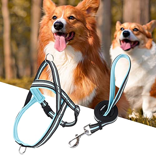 lamphle Haustier-Brustgurt, verstellbar, mittelgroß, Hundeleine, zum Spazierengehen, Laufen, Brustgurt, Hundetraining, reflektierende Leine für große Hunde für Park, XS-Himmelblau lamphle Haustier-Brustgurt, verstellbar, mittelgroß, Hundeleine, zum Spazierengehen, Laufen, Brustgurt, Hundetraining, reflektierende Leine für große Hunde für Park, XS-Himmelblau von lamphle