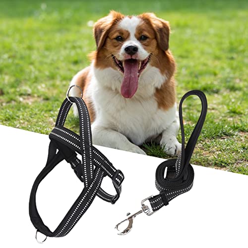lamphle Haustier-Brustgurt, verstellbar, mittelgroß, Hundeleine, zum Spazierengehen, Laufen, Brustgurt, Hundetraining, reflektierende Leine für große Hunde für Park, XS-Schwarz lamphle Haustier-Brustgurt, verstellbar, mittelgroß, Hundeleine, zum Spazierengehen, Laufen, Brustgurt, Hundetraining, reflektierende Leine für große Hunde für Park, XS-Schwarz von lamphle
