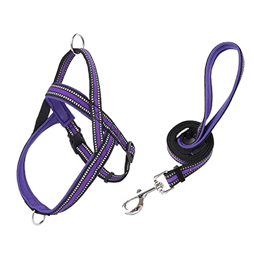 lamphle Haustier-Brustgurt, verstellbar, mittelgroß, Hundeleine, zum Spazierengehen, Laufen, Brustgurt, Hundetraining, reflektierende Leine für große Hunde für Park, XS-Violett lamphle Haustier-Brustgurt, verstellbar, mittelgroß, Hundeleine, zum Spazierengehen, Laufen, Brustgurt, Hundetraining, reflektierende Leine für große Hunde für Park, XS-Violett von lamphle