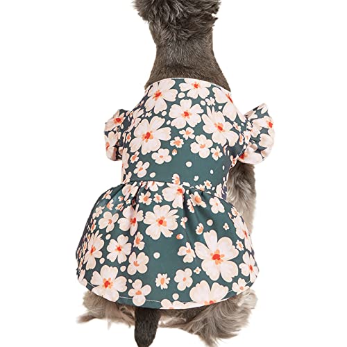 lamphle Hunderock eng anliegender Druckknopf Pullover Welpen Hund Rock Haustier Weste Shirt für Zuhause tragen grün XL von lamphle