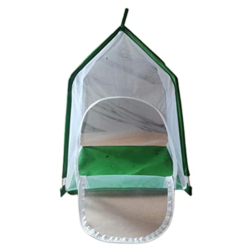 lamphle Schmetterlingsstall Stabil Faltbar Tragbar Cubic Mesh Enclosure Inkubator Schmetterlinge Habitat Cage Pet Supplies Grün lamphle Schmetterlingsstall Stabil Faltbar Tragbar Cubic Mesh Enclosure Inkubator Schmetterlinge Habitat Cage Pet Supplies Grün von lamphle