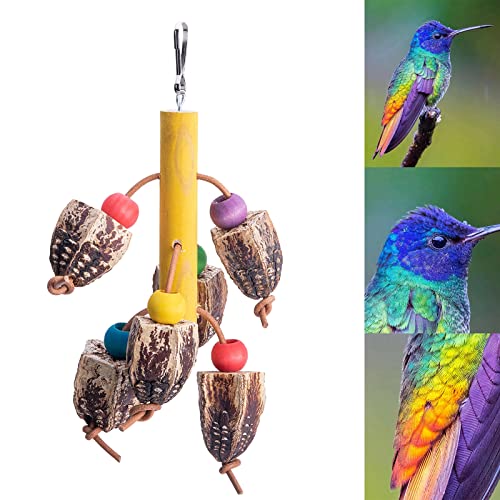 lamphle Vogelspielzeug Feine Verarbeitung Anti-Kratzer Stabil Haustier Papagei Kauen Molar Spielzeug für den Heimgebrauch A von lamphle