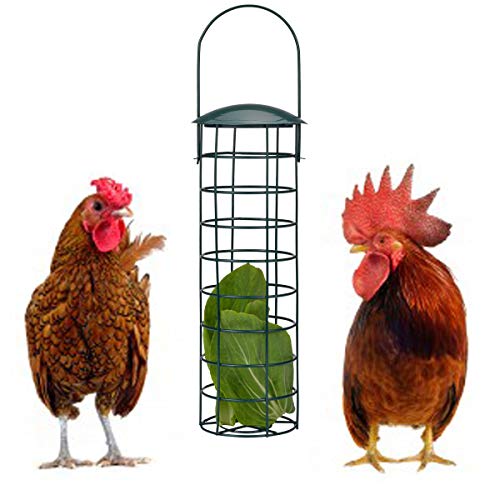 lanermoon Futterstall für Hühner, Spielzeug für Hühner, zum Aufhängen, Eisen, für Papageien, Vögel, Gemüse, Gemüse, Feeder (grün) von lanermoon