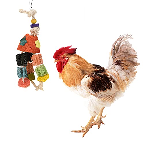 lanermoon Huhn-Spielzeug für Hühner mit buntem natürlichem Luffa-Vogel-Kauspielzeug, zum Aufhängen, Futtersuche für Papageien, Sittiche, Käfig-Zubehör, Spielzeug mit Glocken von lanermoon