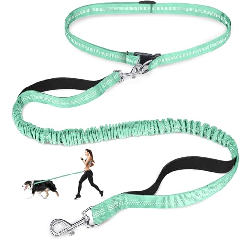 Laqibak Hundeleine, verstellbare Taillenleine für Hunde, Griffgummi, 1,7 - 1,8 m lang, mit reflektierenden Nähten, für Spaziergänge, Wandern, Laufen, passend für Taillenumfang von 66 - 109 cm Laqibak Hundeleine, verstellbare Taillenleine für Hunde, Griffgummi, 1,7 - 1,8 m lang, mit reflektierenden Nähten, für Spaziergänge, Wandern, Laufen, passend für Taillenumfang von 66 - 109 cm von laqibak