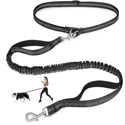 Laqibak Hundeleine, verstellbare Taillenleine für Spaziergänge mit dem Hund, Doppel-Bungee, 1,7 - 1,8 m lang, mit reflektierenden Nähten, für Spaziergänge, Wandern, Laufen, passend für Taillenumfang Laqibak Hundeleine, verstellbare Taillenleine für Spaziergänge mit dem Hund, Doppel-Bungee, 1,7 - 1,8 m lang, mit reflektierenden Nähten, für Spaziergänge, Wandern, Laufen, passend für Taillenumfang von laqibak