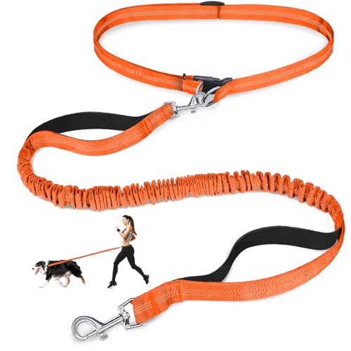 Laqibak Hundeleine, verstellbare Taillenleine für Spaziergänge mit dem Hund, Doppel-Bungee, 1,7 - 1,8 m lang mit reflektierenden Nähten, für Spaziergänge, Wandern, Laufen, passend für Taillenumfang Laqibak Hundeleine, verstellbare Taillenleine für Spaziergänge mit dem Hund, Doppel-Bungee, 1,7 - 1,8 m lang mit reflektierenden Nähten, für Spaziergänge, Wandern, Laufen, passend für Taillenumfang von laqibak