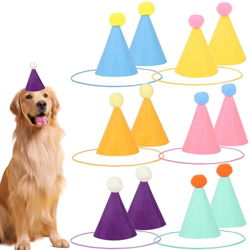 12 Stück Mini Partyhüte für Stofftiere, Kegelförmige Kleine Geburtstagshüte in Mehrfarben Winzige Geburtstagsdekoration für Hunde Katzen und Verschiedene Tieraccessoires 12 Stück Mini Partyhüte für Stofftiere, Kegelförmige Kleine Geburtstagshüte in Mehrfarben Winzige Geburtstagsdekoration für Hunde Katzen und Verschiedene Tieraccessoires von lasuroa