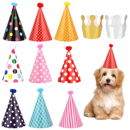 lasuroa 11 St Haustier-Mützenset, Bunte Katzen-Pompons-Hüte, mit Verstellbarer Elastischer Kordel Mini-Partygeschenk zum Thema Haustiere für Kätzchen Kaninchen Geburtstag Babyparty Foto-Requisiten von lasuroa