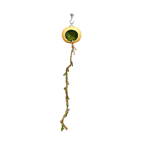 laxreheye Magnetische Verstecke für Springspinnen - Klettertau Für Spinnenbehälter - Terrarium Versteckhaus Zubehör Für Geckos Kleine Reptilien Insekten laxreheye Magnetische Verstecke für Springspinnen - Klettertau Für Spinnenbehälter - Terrarium Versteckhaus Zubehör Für Geckos Kleine Reptilien Insekten von laxreheye