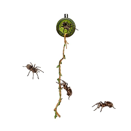 laxreheye Springspinnen Terrarium - Moos-Springspinnen Terrarium Mit Magnethalterung,Lebensraum Für Hundertfüßer Reptilien Füttern Ruheplatz Zuhause Klassenzimmer Geckos & Kleintiere von laxreheye