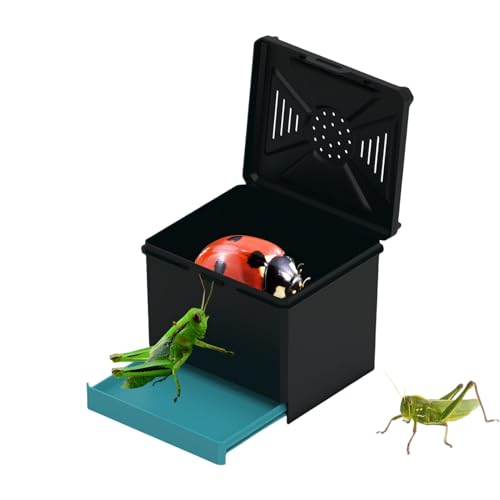 laxreheye Terrarium für Mygales – Beobachtungsbox für Spinnen – belüftetes Gehege für Heuschrecken, Reptilien, Spinnen, Skorpione, , Kakerlaken, Zoo, Innen- und Außenbereich von laxreheye