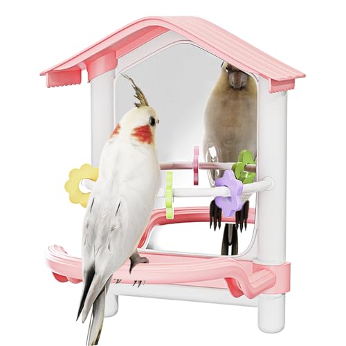 laxreheye Vogelkäfig Spielzeuge,Spielzeug Mit Spiegel Für Vögel - Haustierbedarf Für Knabberspielzeug Drinnen Und Draußen Garten Terrasse Balkon Fensterbereich laxreheye Vogelkäfig Spielzeuge,Spielzeug Mit Spiegel Für Vögel - Haustierbedarf Für Knabberspielzeug Drinnen Und Draußen Garten Terrasse Balkon Fensterbereich von laxreheye