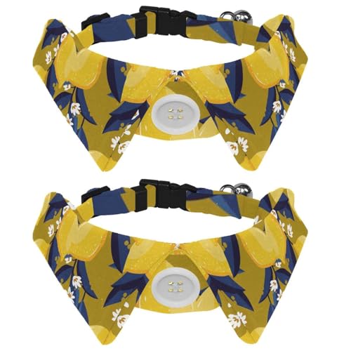 Hundehalsband mit Fliege, verstellbar, formelles Smokinghalsband mit abnehmbarem Hemdkragen, Katzenhalsbänder für kleine Haustiere, Obst-Zitronenmuster, buntes Muster Hundehalsband mit Fliege, verstellbar, formelles Smokinghalsband mit abnehmbarem Hemdkragen, Katzenhalsbänder für kleine Haustiere, Obst-Zitronenmuster, buntes Muster von lcndlsoe