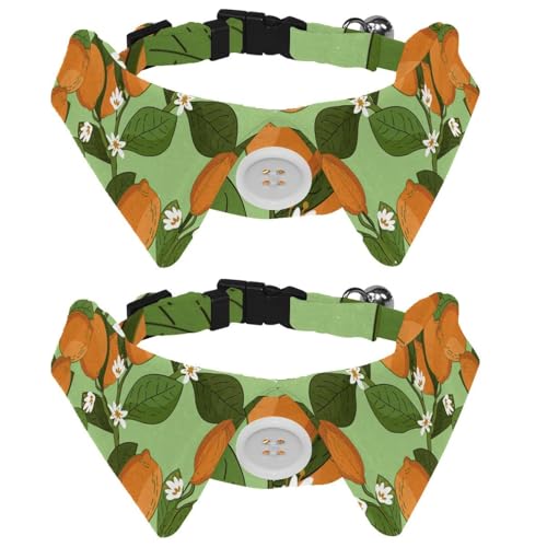Hundehalsband mit Fliege, verstellbares formelles Smokinghalsband mit abnehmbarem Hemdkragen, Katzenhalsbänder für kleine Haustiere, orangefarbenes Zitronenbaum-Muster Hundehalsband mit Fliege, verstellbares formelles Smokinghalsband mit abnehmbarem Hemdkragen, Katzenhalsbänder für kleine Haustiere, orangefarbenes Zitronenbaum-Muster von lcndlsoe