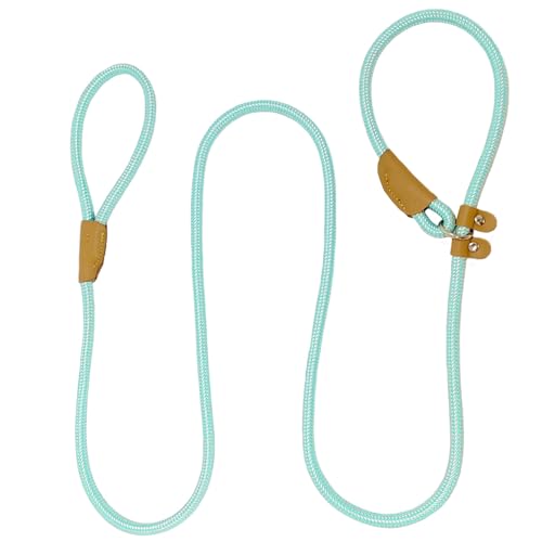 Hundeleine, robust, Nylon, starke Retrieverleine für Hunde, 1,8 m x 1,27 cm, bequeme Trainingsleine für mittelgroße und große Hunde Hundeleine, robust, Nylon, starke Retrieverleine für Hunde, 1,8 m x 1,27 cm, bequeme Trainingsleine für mittelgroße und große Hunde von leadfar