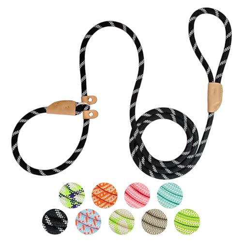 Hundeleine, robust, Nylon, starke Retrieverleine für Hunde, 1,8 m x 1,27 cm, bequeme Trainingsleine für mittelgroße und große Hunde Hundeleine, robust, Nylon, starke Retrieverleine für Hunde, 1,8 m x 1,27 cm, bequeme Trainingsleine für mittelgroße und große Hunde von leadfar
