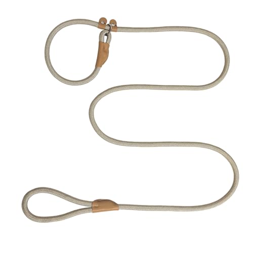 Hundeleine, robust, Nylon, starke Retrieverleine für Hunde, 1,8 m x 1,27 cm, bequeme Trainingsleine für mittelgroße und große Hunde Hundeleine, robust, Nylon, starke Retrieverleine für Hunde, 1,8 m x 1,27 cm, bequeme Trainingsleine für mittelgroße und große Hunde von leadfar