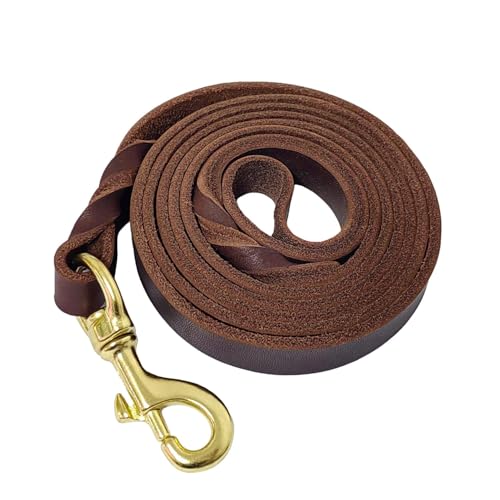 Hundeleine aus Leder, strapazierfähig, geflochten, mit drehbarem Verschluss, Trainingsleine aus echtem Leder, für kleine, mittelgroße und große Hunde, 1,2 m x 1,9 cm Hundeleine aus Leder, strapazierfähig, geflochten, mit drehbarem Verschluss, Trainingsleine aus echtem Leder, für kleine, mittelgroße und große Hunde, 1,2 m x 1,9 cm von leadfar