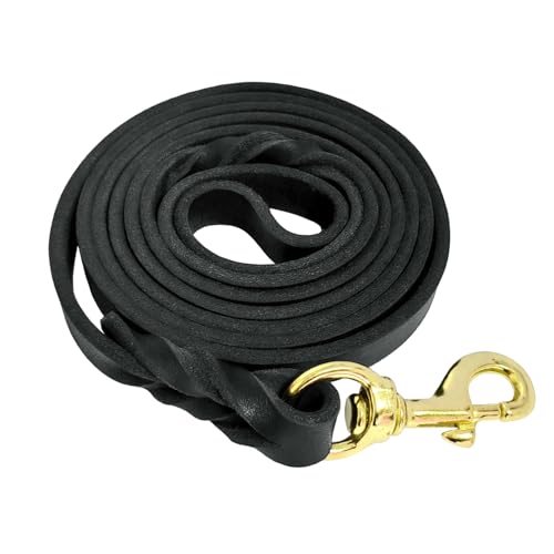 Hundeleine aus Leder, strapazierfähig, geflochten, mit drehbarem Verschluss, Trainingsleine aus echtem Leder, für kleine, mittelgroße und große Hunde, 1,8 m x 1,27 cm Hundeleine aus Leder, strapazierfähig, geflochten, mit drehbarem Verschluss, Trainingsleine aus echtem Leder, für kleine, mittelgroße und große Hunde, 1,8 m x 1,27 cm von leadfar