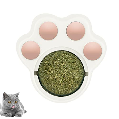 Katzenminze-Ball-Spielzeug – sichere drehbare Katzenminze-Wandbälle | Katzenpfoten-Design, Katzenminze, Kauspielzeug für Kätzchen, Katzen, Zahnreinigung, interaktives lustiges Katzenzubehör Lear-au von lear-au
