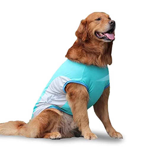 Kühljacke für Hunde, atmungsaktive Netz-Hundejacke – Kühljacke für Outdoor-Aktivitäten, Wandern, Training, verhindert Hitzschlag bei Hunden Lear-au von lear-au