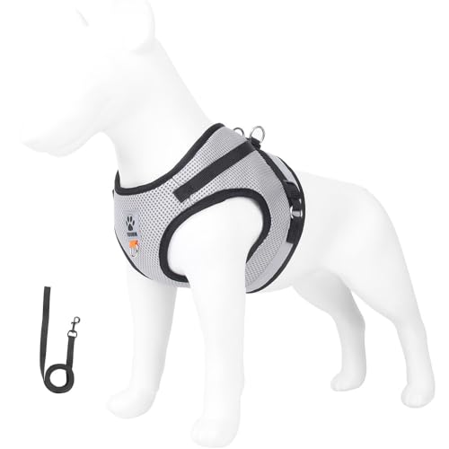 leconpet Hundegeschirr und Leine, reflektierendes Hundegeschirr und Weste, Klettverschlüsse und Schnallen-Design kombiniert mit doppeltem D-Ring auf Rücken und Brustring (Grau, L) von leconpet