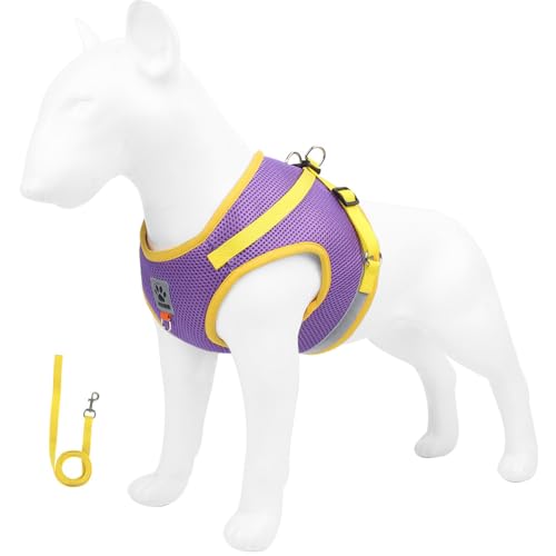 leconpet Hundegeschirr und Leine, reflektierendes Hundegeschirr und Weste, Klettverschlüsse und Schnallen-Design kombiniert mit doppeltem D-Ring auf Rücken und Brustring (Lila, L) von leconpet