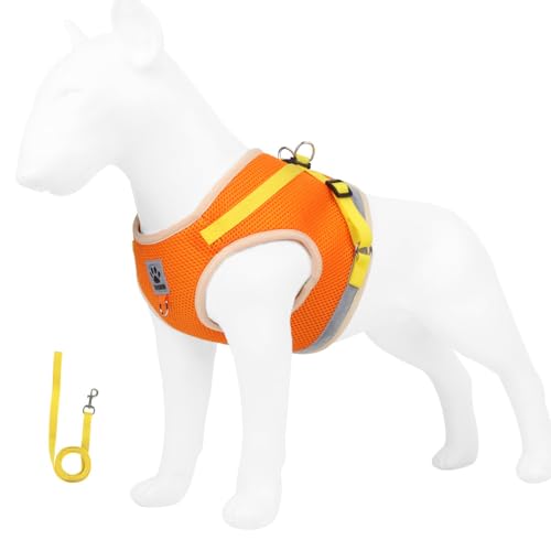 leconpet Hundegeschirr und Leine, reflektierendes Hundegeschirr und Weste, Klettverschlüsse und Schnallen-Design kombiniert mit doppeltem D-Ring auf Rücken und Brustring (Orange, L) von leconpet