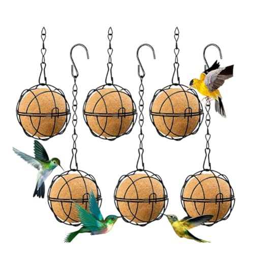 lehua 6 Stück Futterbälle für Vögel, Futterspender für Meisenknödel, Vogelfutterspender zum Aufhängen Aus Metall mit Haken, Runder Futterspender für Meisenknödel, Schwarz lehua 6 Stück Futterbälle für Vögel, Futterspender für Meisenknödel, Vogelfutterspender zum Aufhängen Aus Metall mit Haken, Runder Futterspender für Meisenknödel, Schwarz von lehua