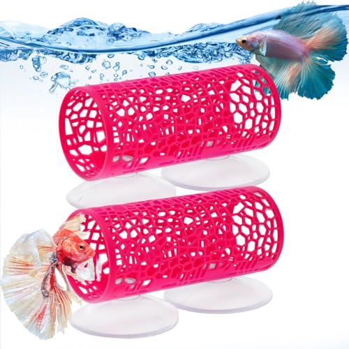 2 Pack Betta Tunnel, Betta Fischspielzeug mit Saugnäpfen, Betta Fish Tank Zubehör, Geeigneter Lebensraum für kleine Fische und Garnelen, kann als Hängematte und Versteck für Betta-Fische verwendet 2 Pack Betta Tunnel, Betta Fischspielzeug mit Saugnäpfen, Betta Fish Tank Zubehör, Geeigneter Lebensraum für kleine Fische und Garnelen, kann als Hängematte und Versteck für Betta-Fische verwendet von lemtrflo