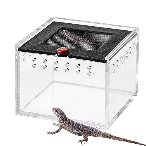 Transparente Reptilienbox | Lebensraum für Schildkröten,Reptiliengehege, Einsiedlerkrebsbecken, Reptilienterrarium, tragbarer Tierlebensraumkäfig Lencyotool von lencyotool