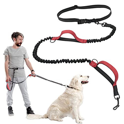 lencyotool Freihändige Hundeleine - Einziehbares Laufseil für Hunde | zu Spazierengehen, Joggen und Laufen mit Ihrem Hund, doppelt gepolsterte Griffe, bis zu 150 lbs von lencyotool