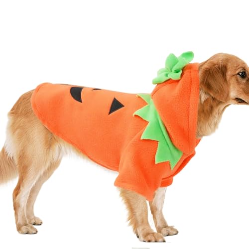 Leryveo Halloween-Hundekostüme,Kürbiskatzenkostüm | Schönes Hunde-Halloween-Kostüm, Katzen-Halloween-Kostüm,Stilvolle Fleece-Hoodie-Haustier-Cosplay-Kostüme für Partys, Themenveranstaltungen Leryveo Halloween-Hundekostüme,Kürbiskatzenkostüm | Schönes Hunde-Halloween-Kostüm, Katzen-Halloween-Kostüm,Stilvolle Fleece-Hoodie-Haustier-Cosplay-Kostüme für Partys, Themenveranstaltungen von leryveo