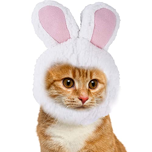 Leryveo Kaninchen-Hundemütze, Katzen-Hasenohren-Mütze - Haustier-Kopfbedeckung | Lustige Neuheit, verstellbar, weich, bezaubernd, kreativ, Katze, Kaninchen, Haustier, Cosplay, Anzieh, Halloween, Leryveo Kaninchen-Hundemütze, Katzen-Hasenohren-Mütze - Haustier-Kopfbedeckung | Lustige Neuheit, verstellbar, weich, bezaubernd, kreativ, Katze, Kaninchen, Haustier, Cosplay, Anzieh, Halloween, von leryveo