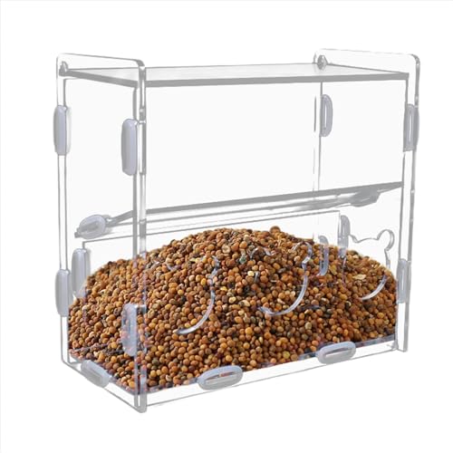 Leryveo Wachtel-Papageien-Futterstation, Papageien-Vogel-Futterstation,Automatischer Futterbehälter aus Acryl mit Mehreren Löchern - Transparente Vogelfutter-Spenderbox für Finken, Papageien, Leryveo Wachtel-Papageien-Futterstation, Papageien-Vogel-Futterstation,Automatischer Futterbehälter aus Acryl mit Mehreren Löchern - Transparente Vogelfutter-Spenderbox für Finken, Papageien, von leryveo