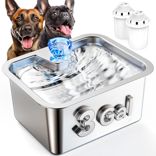 3 Gallonen Großer Hund Wasserbrunnen, Edelstahl Haustier Wasserbrunnen für Große Hunde, Automatischer Big Dog Wassernapfspender Trinken mit 2 Filtern, Leicht zu Reinigen, Leise Pumpe 3 Gallonen Großer Hund Wasserbrunnen, Edelstahl Haustier Wasserbrunnen für Große Hunde, Automatischer Big Dog Wassernapfspender Trinken mit 2 Filtern, Leicht zu Reinigen, Leise Pumpe von lesotc