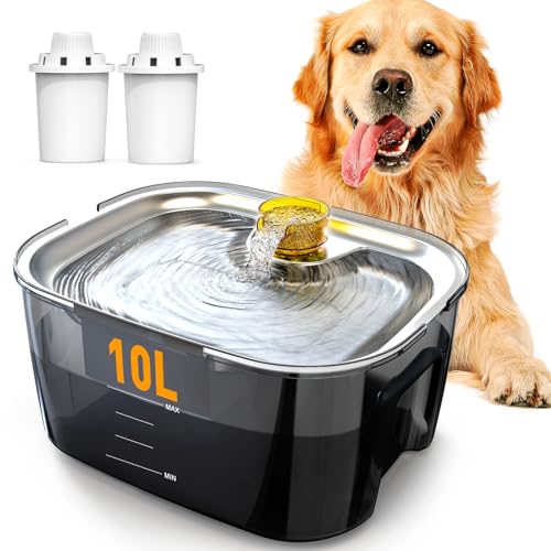 3 Gallonen Hund Wasserbrunnen für Große Hunde, 11.4L Edelstahl Haustier Wasserbrunnen Innen, Automatischer Hund Wassernapf Spender Hund Trinkbrunnen mit 2 Filtern für Mehrere Haustiere von lesotc