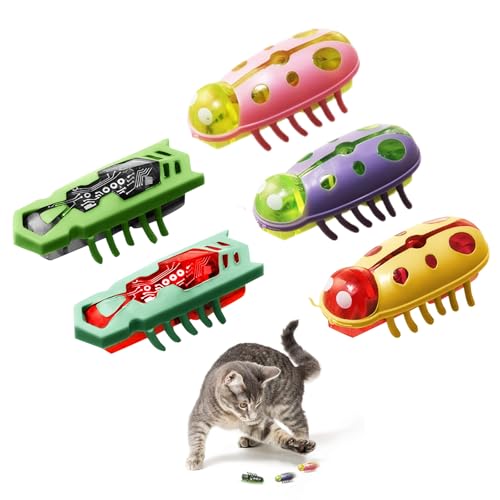 letcdfer 5 Stück Mini Käfer Maus Katzenspielzeug, Elektrischer Katzenspielzeug Marienkäfer Spielzeug Interaktive Wanze KatzenspielzeugKäfer Spielspielzeug für Katzen Kätzchen Haustier Lustiges letcdfer 5 Stück Mini Käfer Maus Katzenspielzeug, Elektrischer Katzenspielzeug Marienkäfer Spielzeug Interaktive Wanze KatzenspielzeugKäfer Spielspielzeug für Katzen Kätzchen Haustier Lustiges von letcdfer