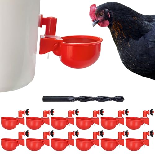 Hühner-Bewässerungsbecher | Automatischer großer Hühner-Wasserspender für Küken, Truthahn, Enten, Gans, Häschen und Vögel | Geflügeltränke, BPA-frei und auslaufsicheres Design (12 Stück) von letsFix