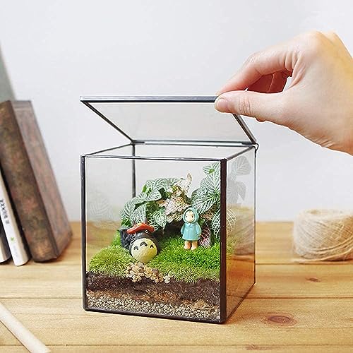 Quadratisches Glas-Moos-Terrarium mit Deckel, kleines Indoor-Glasterrarium für Pflanzen, Sukkulenten, geometrisches Terrarium, Box, schwarz, klein, handgefertigt, Tisch-Glas-Pflanzgefäß für den Quadratisches Glas-Moos-Terrarium mit Deckel, kleines Indoor-Glasterrarium für Pflanzen, Sukkulenten, geometrisches Terrarium, Box, schwarz, klein, handgefertigt, Tisch-Glas-Pflanzgefäß für den von libproqia