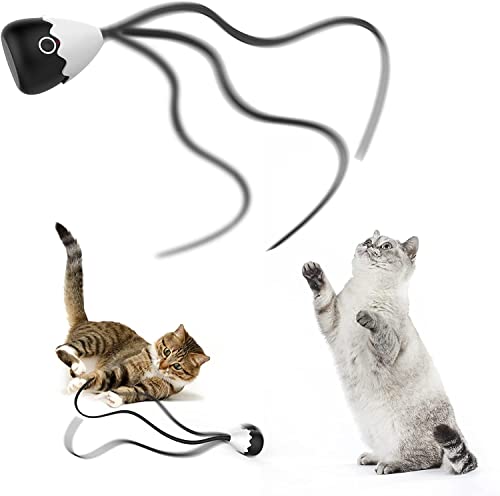 lifefav Interaktives Katzenspielzeug für Indoor-Katzen, Automatisches Silikonschwanz Teaser Spielzeug 2 in 1, Wiederaufladbares Übungsspielzeug für Kätzchen Jouet Pour Chat (Schwarz) von lifefav