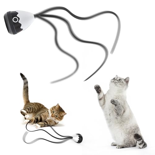lifefav Katzenspielzeug für Hauskatzen, 2-in-1 magisches Silikon-Schwanzspielzeug, automatisches interaktives Katzenstab-Spielzeug, wiederaufladbares Übungsspielzeug für Kätzchen (Schwarz) von lifefav