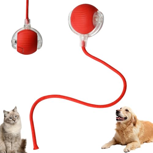 lifetter Chewie Viraler Rollball, Chewie Viral Smart Katzenspielzeug Ball, Chewie Elektrischer Hundeball Spielzeug, Automatischer 360° Rolling Chase Mate Ball, Chewie Doggie Ball, Chewie Ball für lifetter Chewie Viraler Rollball, Chewie Viral Smart Katzenspielzeug Ball, Chewie Elektrischer Hundeball Spielzeug, Automatischer 360° Rolling Chase Mate Ball, Chewie Doggie Ball, Chewie Ball für von lifetter